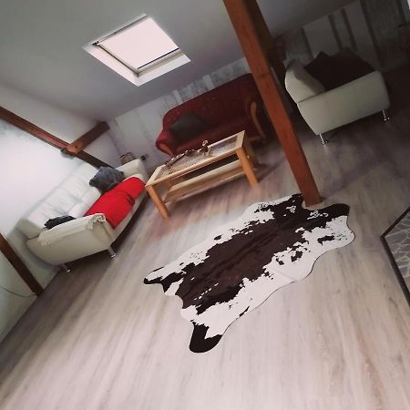 Fewo An Der Eider / Holiday Apartment On The Eider Sankt Annen 外观 照片